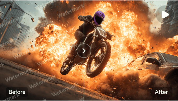 video watermark remover